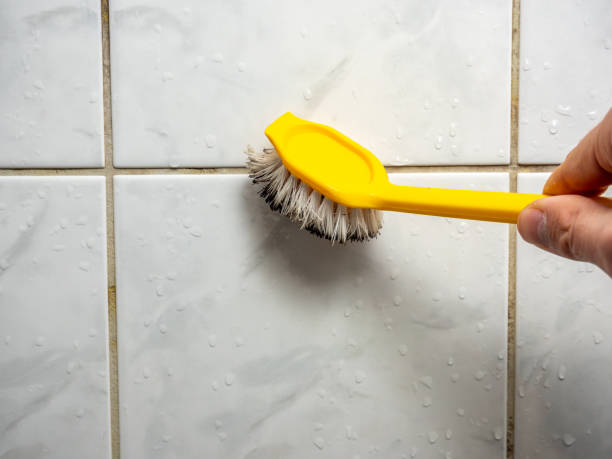 Best Professional Mold Removal  in Carpentersvle, IL