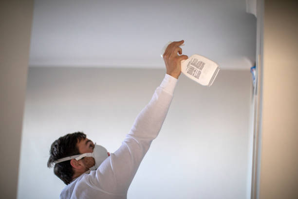 Mold Testing and Removal in Carpentersville, IL