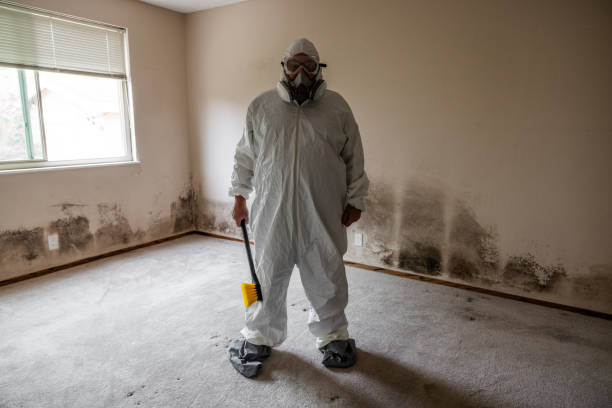 Water Damage Restoration in Carpentersville, IL